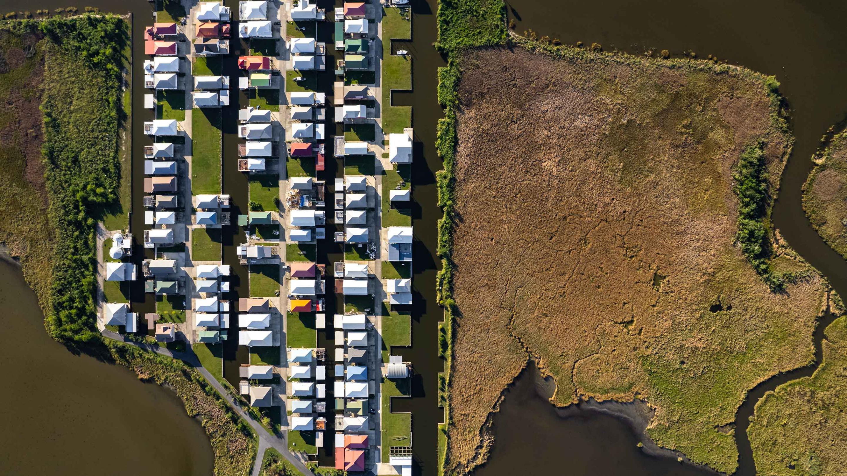 Rows of houses next to a wetland area.
