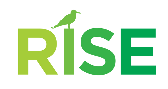 A logo for rise