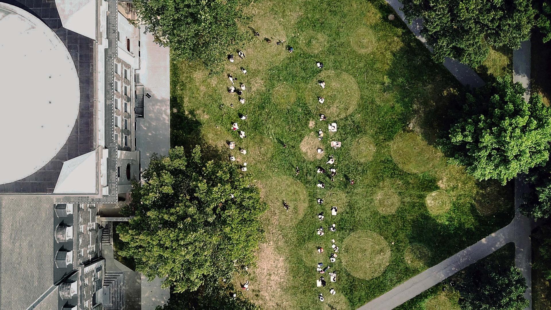 A building with trees and people on the grass next to it.