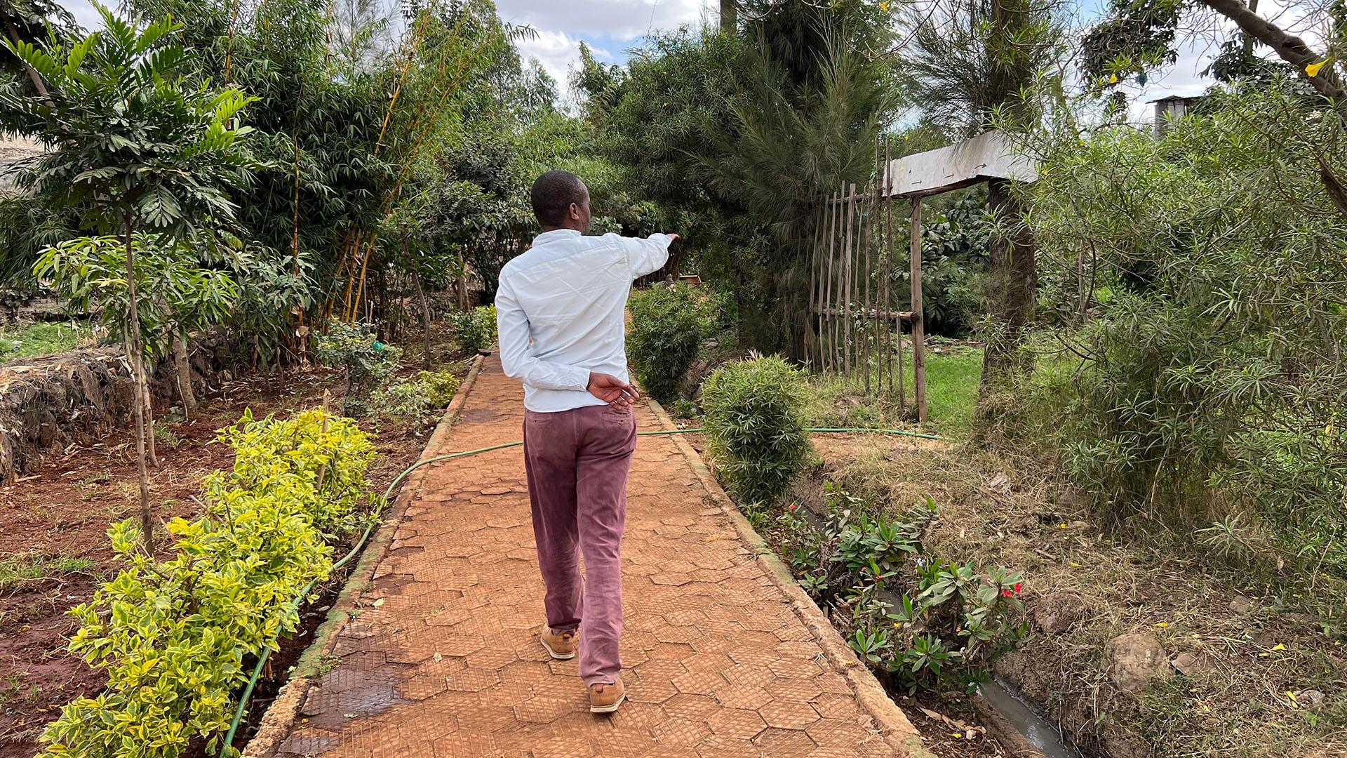 A person walking along a path and pointing to crops.